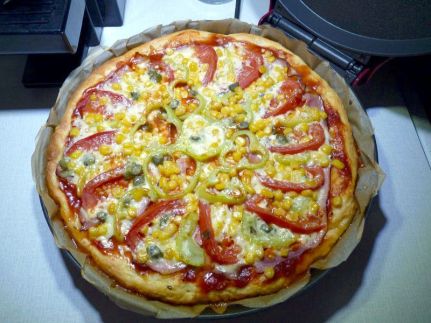 Multifunkční pec (nejen na Pizzu) My Express - DOMO DO9177PZ