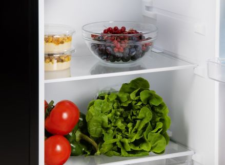 Lednice bez mrazáku - černá - PRIMO PR181FR, Objem: 94 l *, Třída: D, (š x h x v): 47 x 44,5 x 87 cm