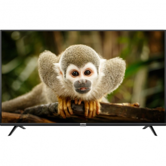 Televize TCL 43DP600