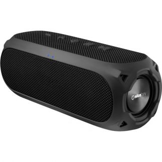 Přenosný reproduktor Niceboy RAZE 3 Radion