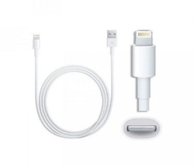 Apple MUQ93ZM/A USB-C Light Cable (1m)