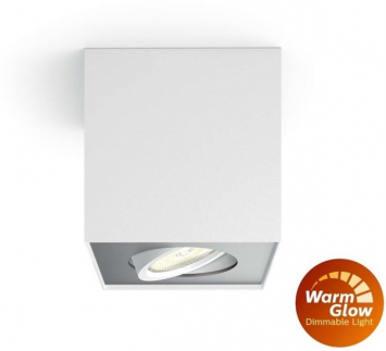 Philips Box 50491/31/P0 1xLED IP20 bílé